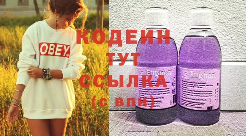 МЕГА зеркало  Черногорск  Codein Purple Drank 